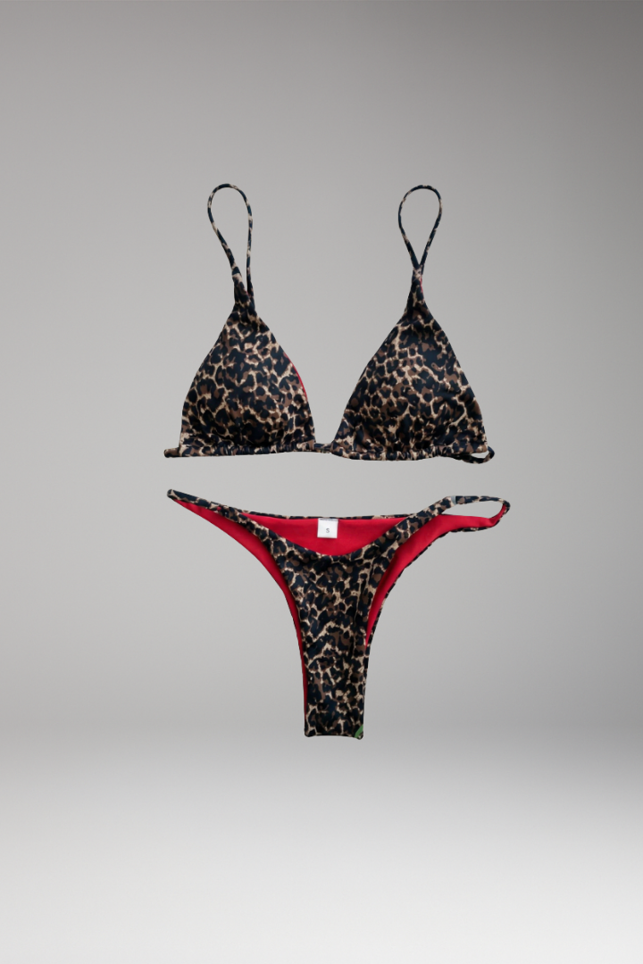 Women's Bikini Set with High-Waisted Bottoms and Triangle Top