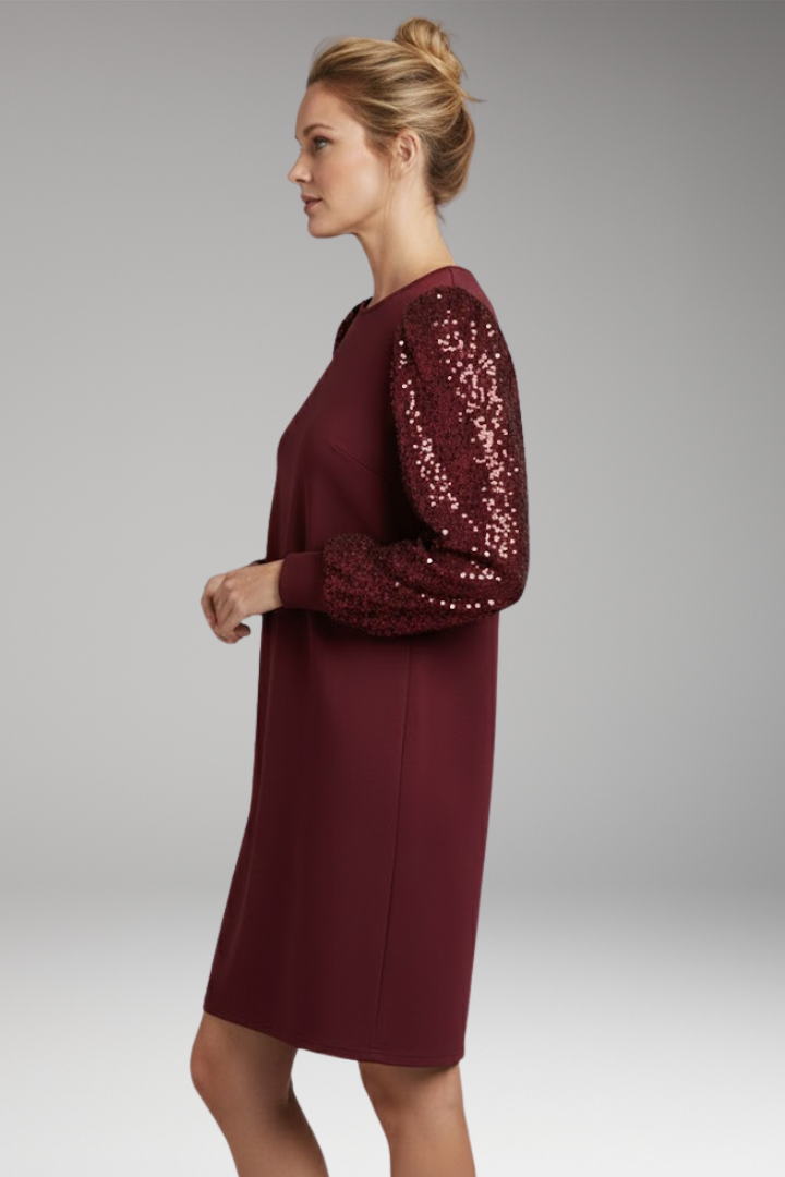 Women’s Casual Dress with Glittering Sleeves and Relaxed Fit