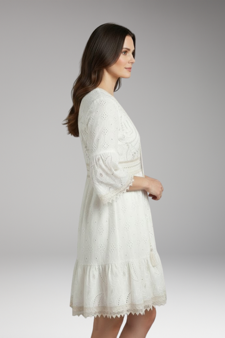 Women's Lace Dress with V Neck and Short Sleeves