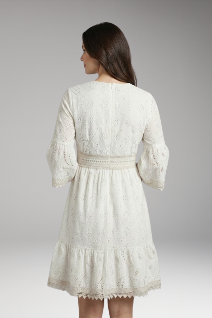 Women's Lace Dress with V Neck and Short Sleeves