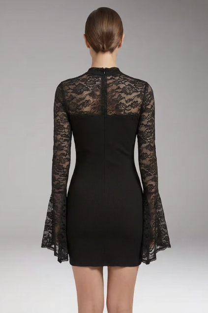 Women's Mini Dress with Lace Trim and High Collar