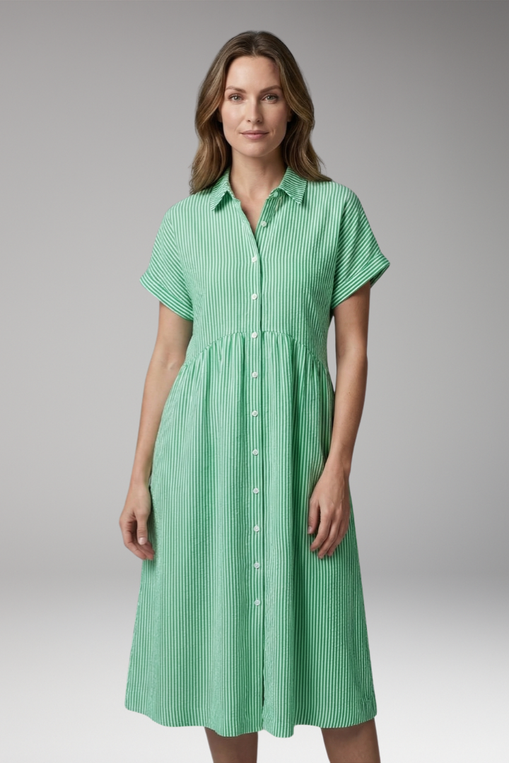 Women’s Shirt Dress with Button Front and Side Pockets