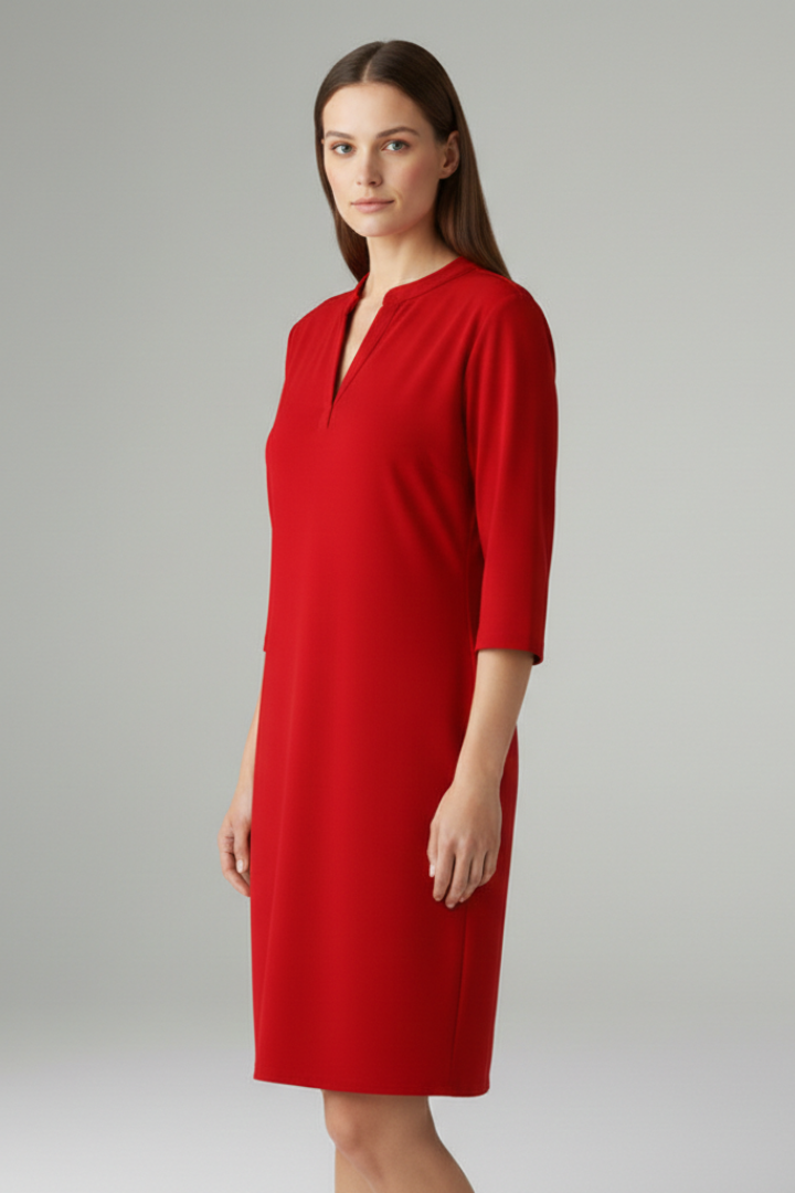 Women's V-Neck Dress with Loose Fit and Simple Silhouette