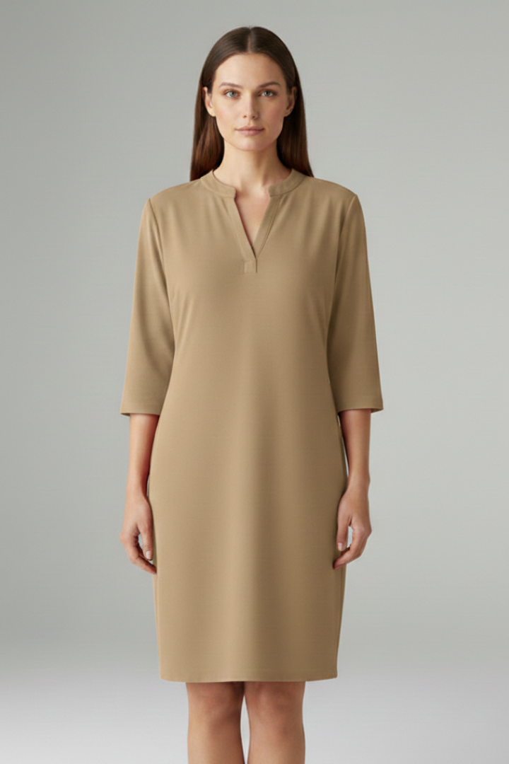 Women's V-Neck Dress with Loose Fit and Simple Silhouette