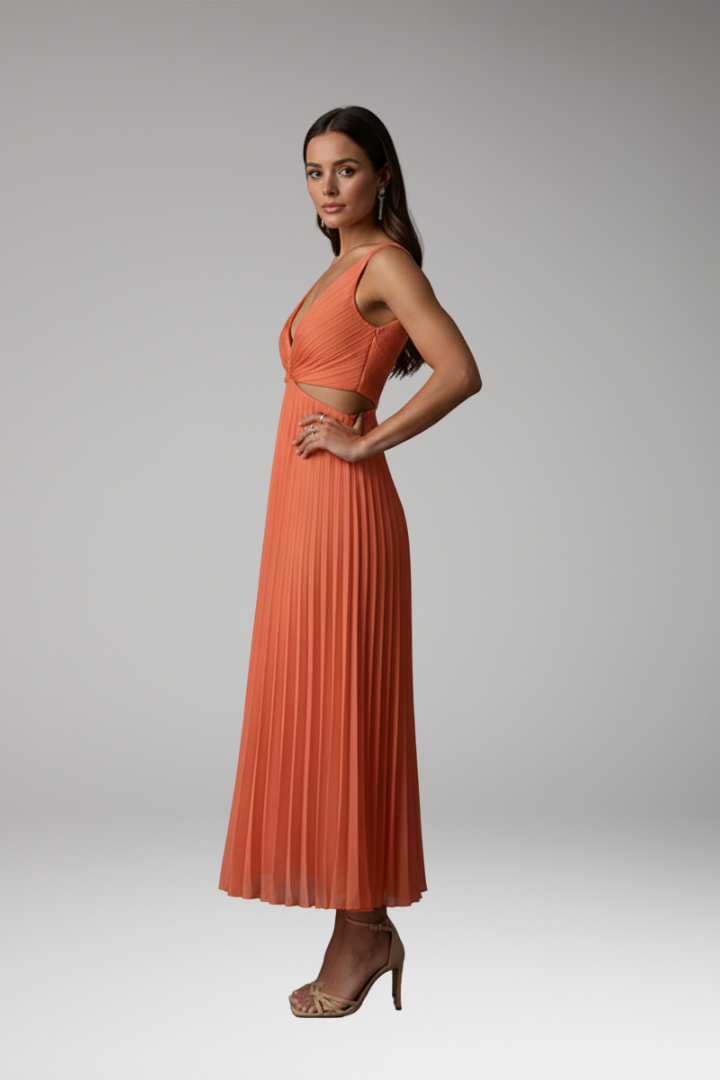Women’s Dress with V-Neckline and Pleated Skirt